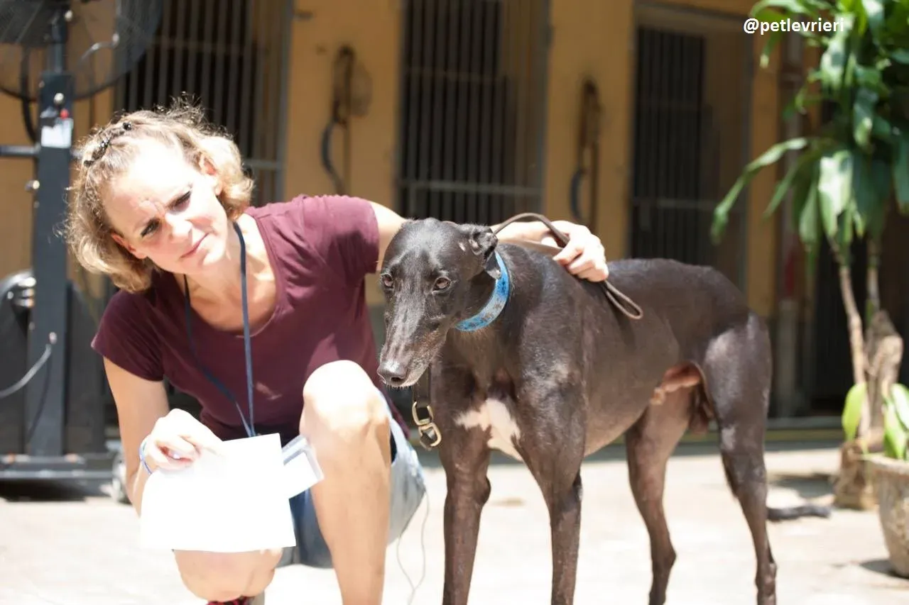 42304786 903077103218067 4010613883747172352 n