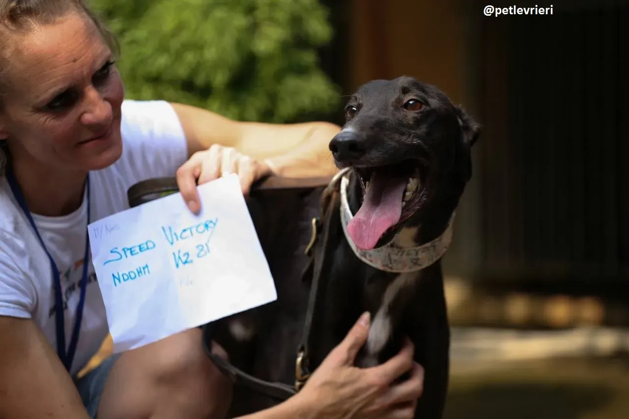 42306960 237546710253334 6936112870094536704 n