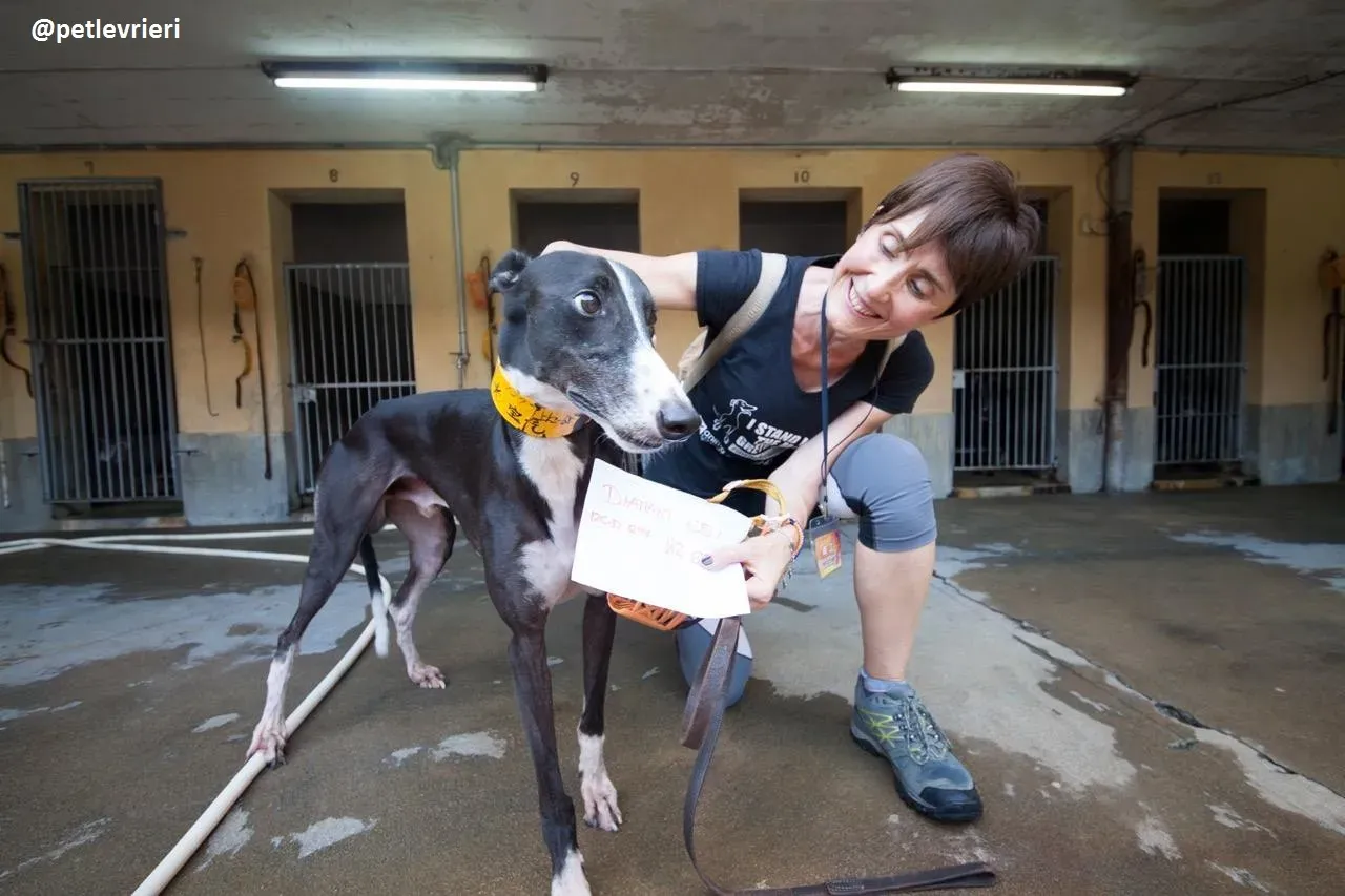 42306963 263204527669130 3892968574821597184 n