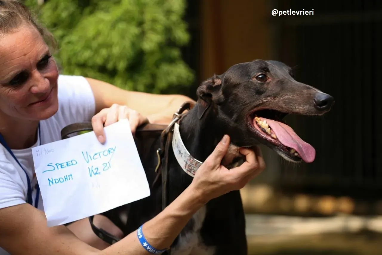 42308476 241814693127198 4809323950779662336 n