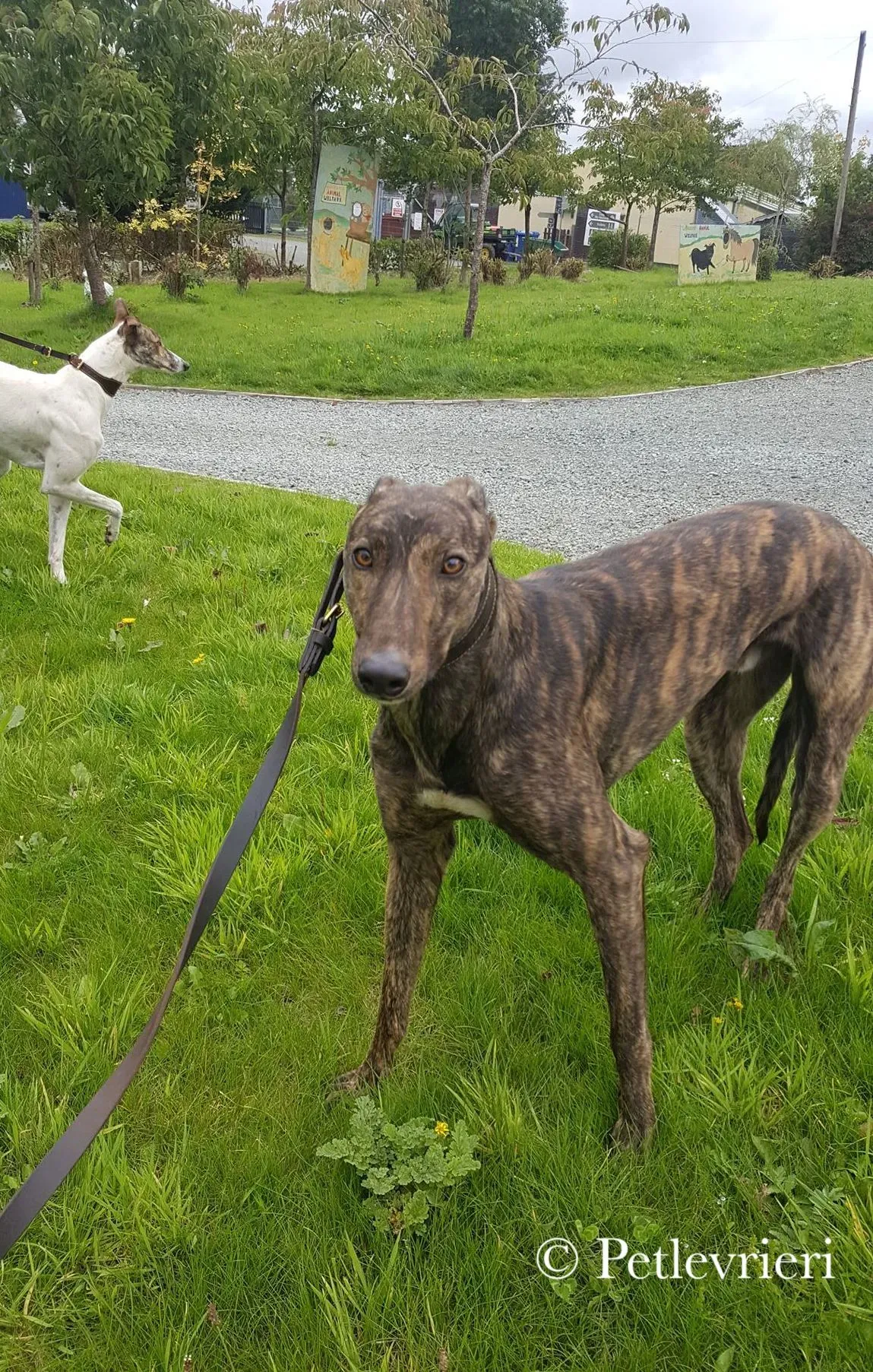 42308519 1427565764054381 1564907476447395840 n