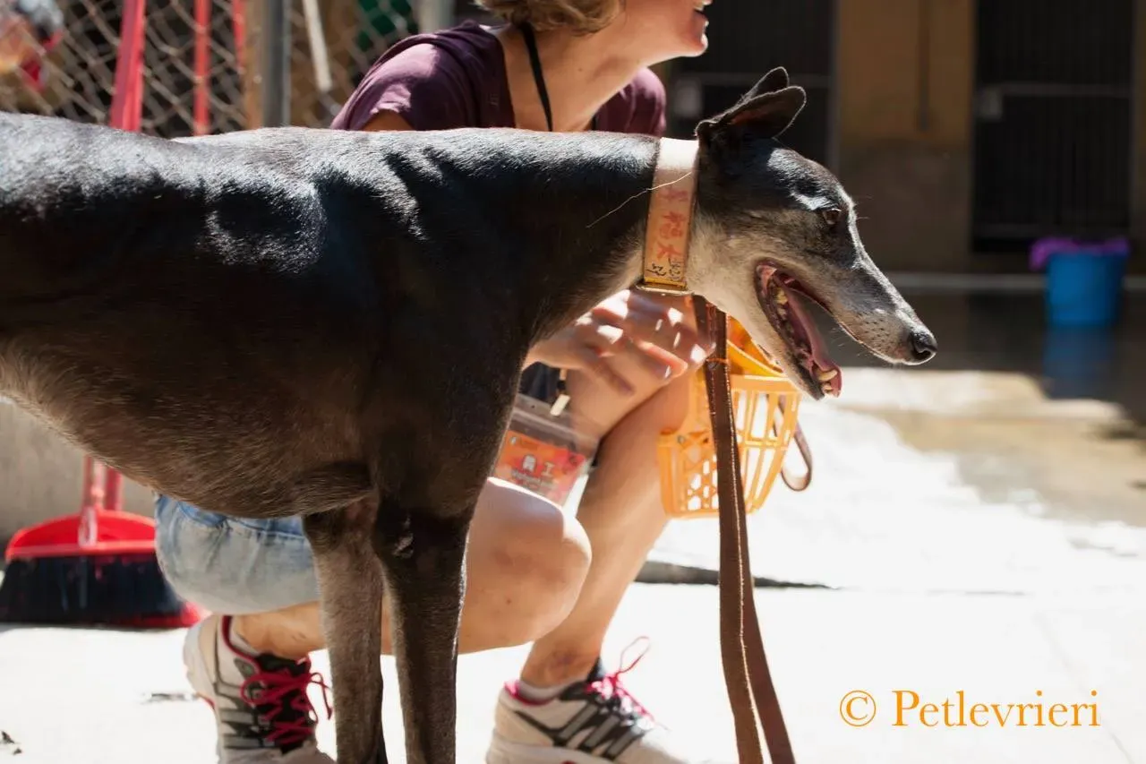 42310656 1873116852805828 1070590980157079552 n