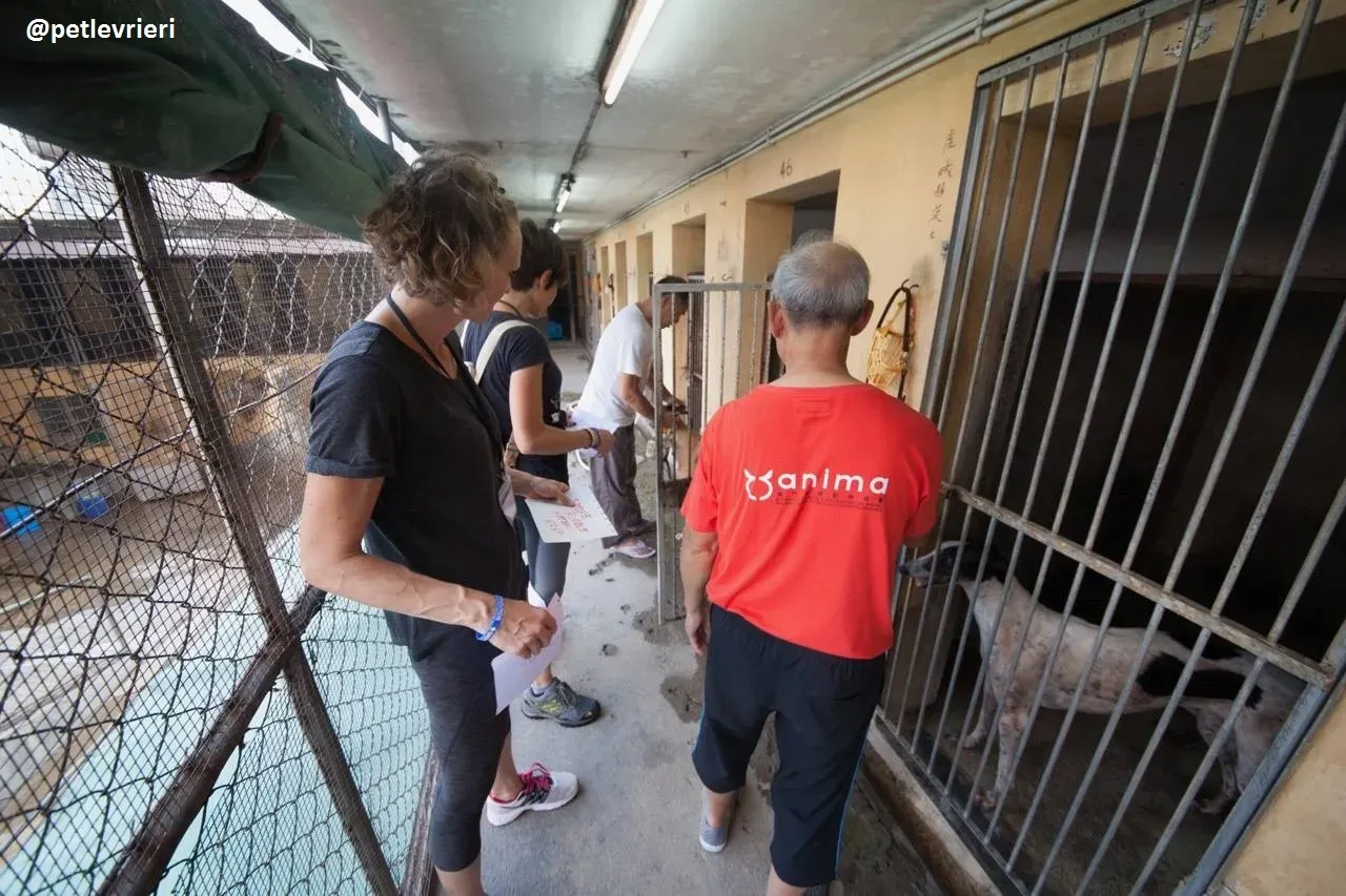 42310975 584313728665047 7924792235437064192 n