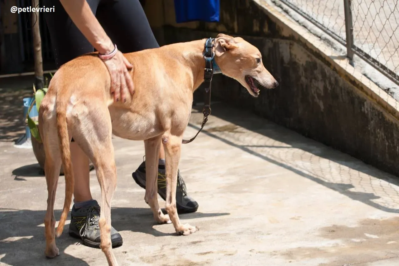 42313805 248075759234632 1981280869049958400 n