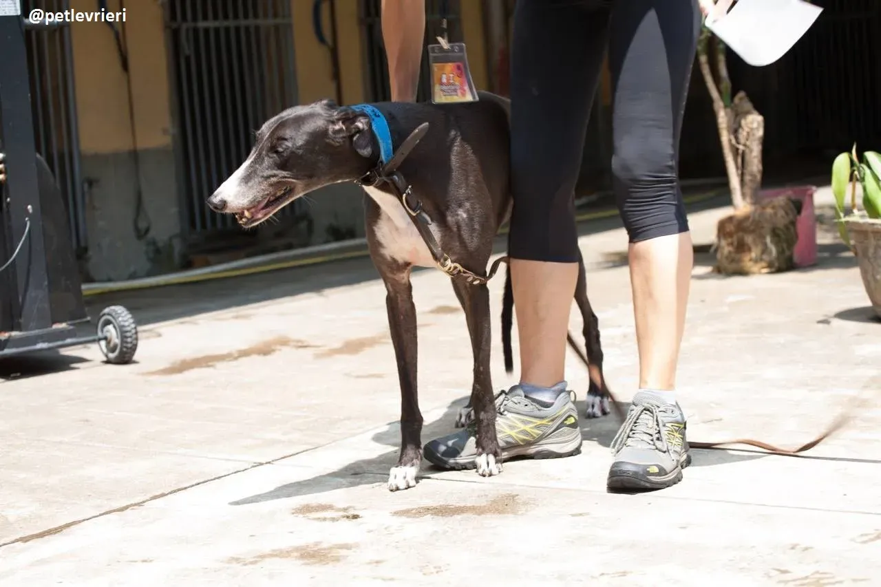 42314508 237212793638941 7215680370224660480 n