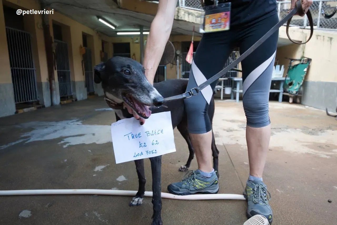 42314605 237661156925496 4628325022379802624 n