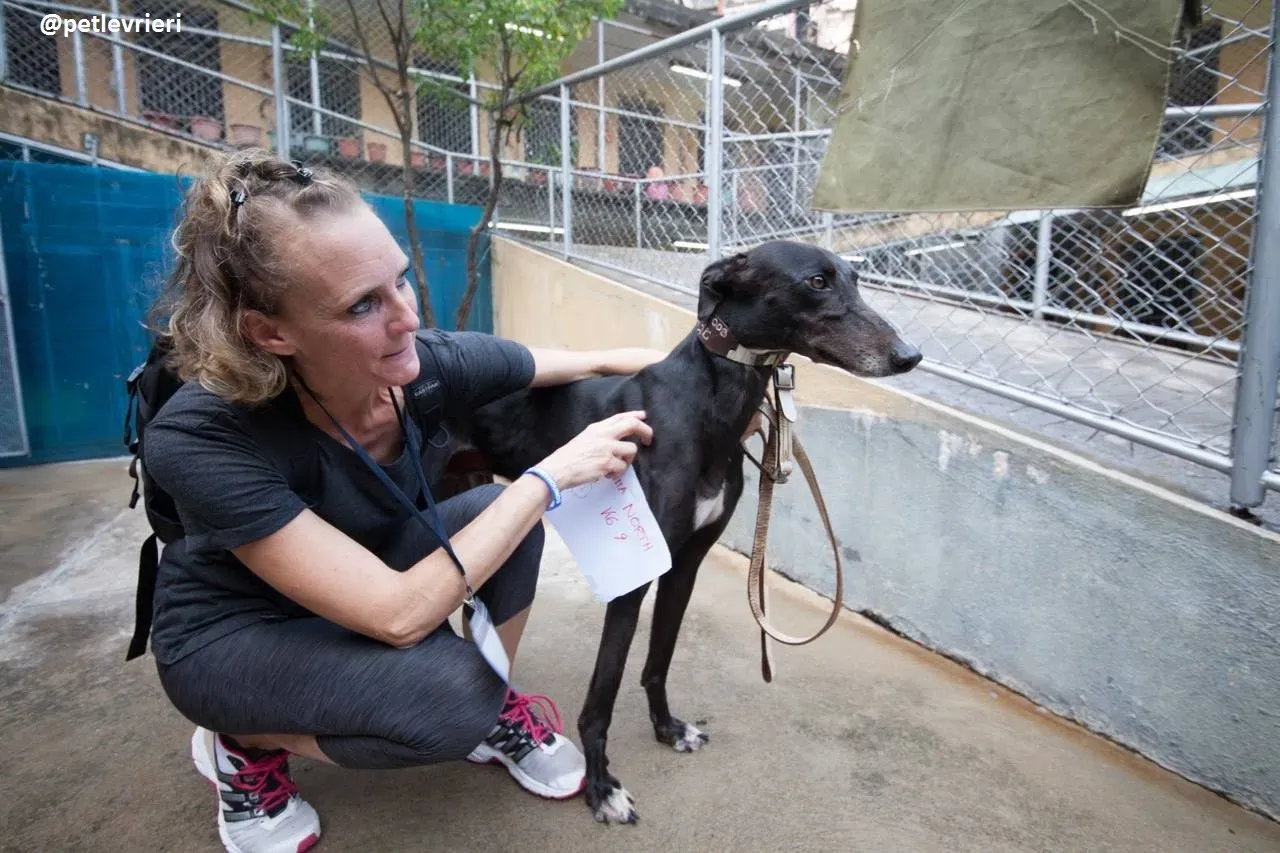 42315356 538607479926659 6945446620007759872 n