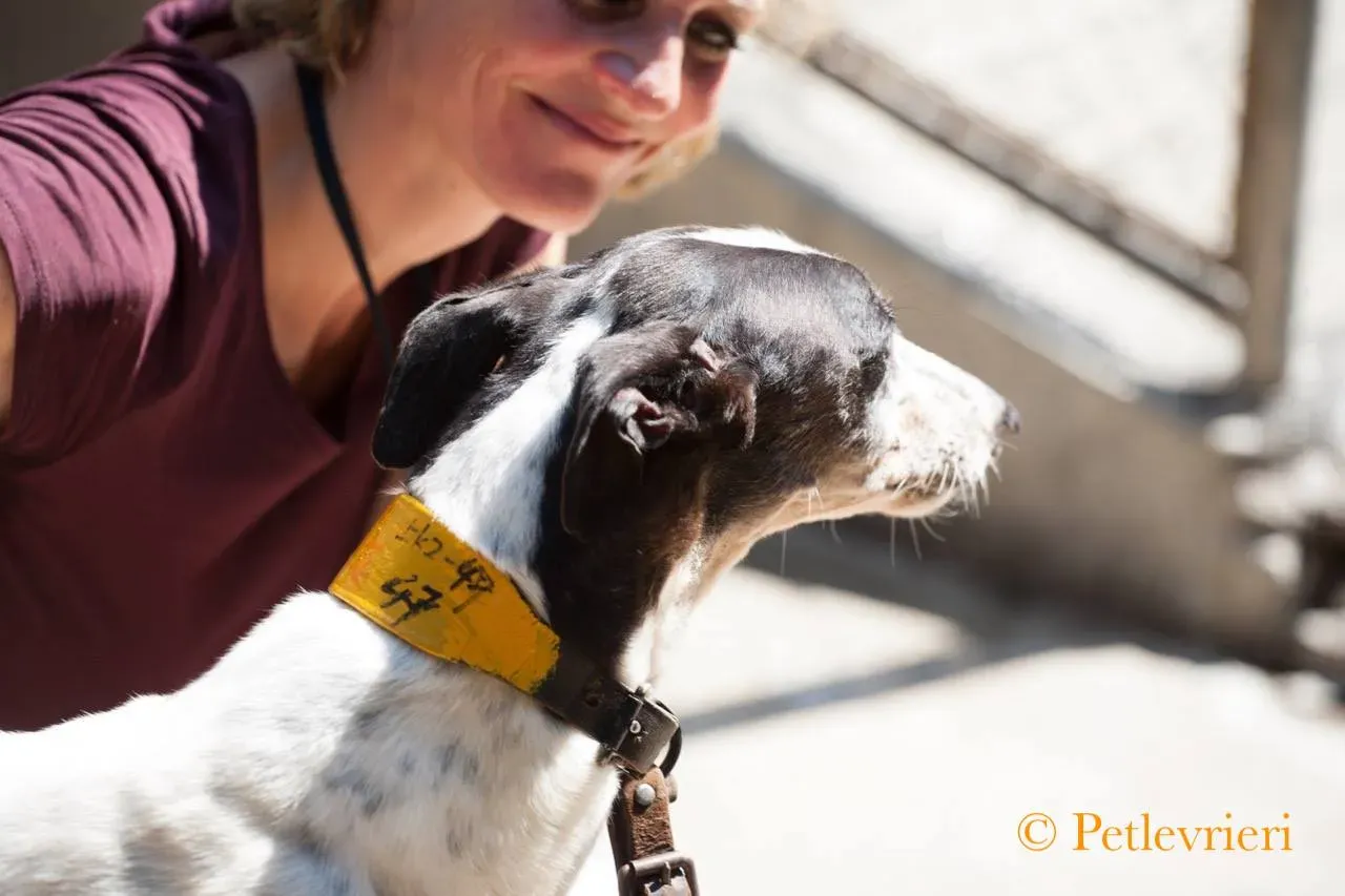 42315371 235522347128153 1177345725193781248 n