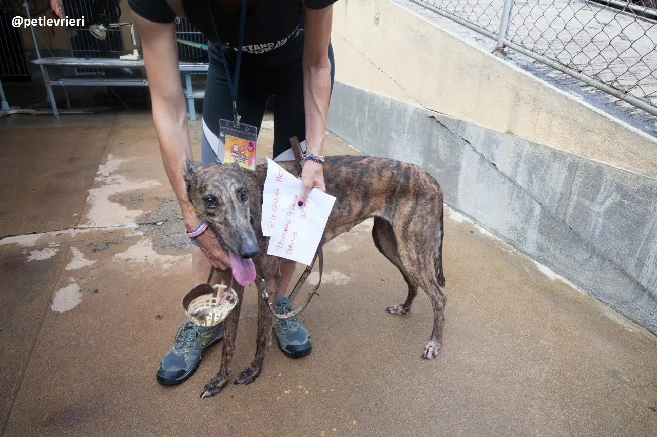 42317147 464616357370631 4678315001436438528 n