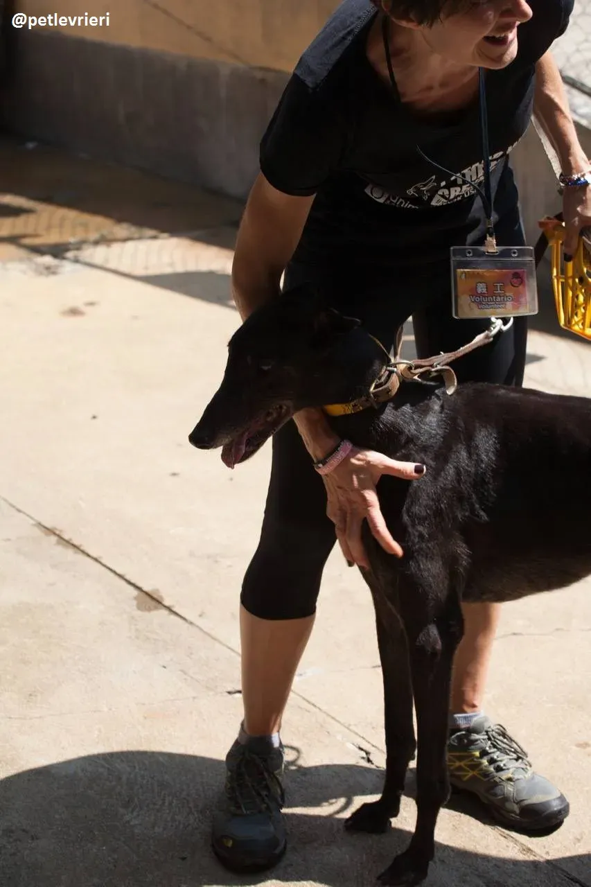 42319608 247312559272746 1940707025969217536 n