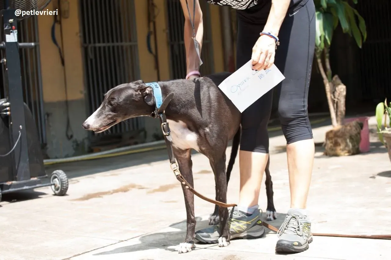 42319736 2195678823836384 5343295089839964160 n