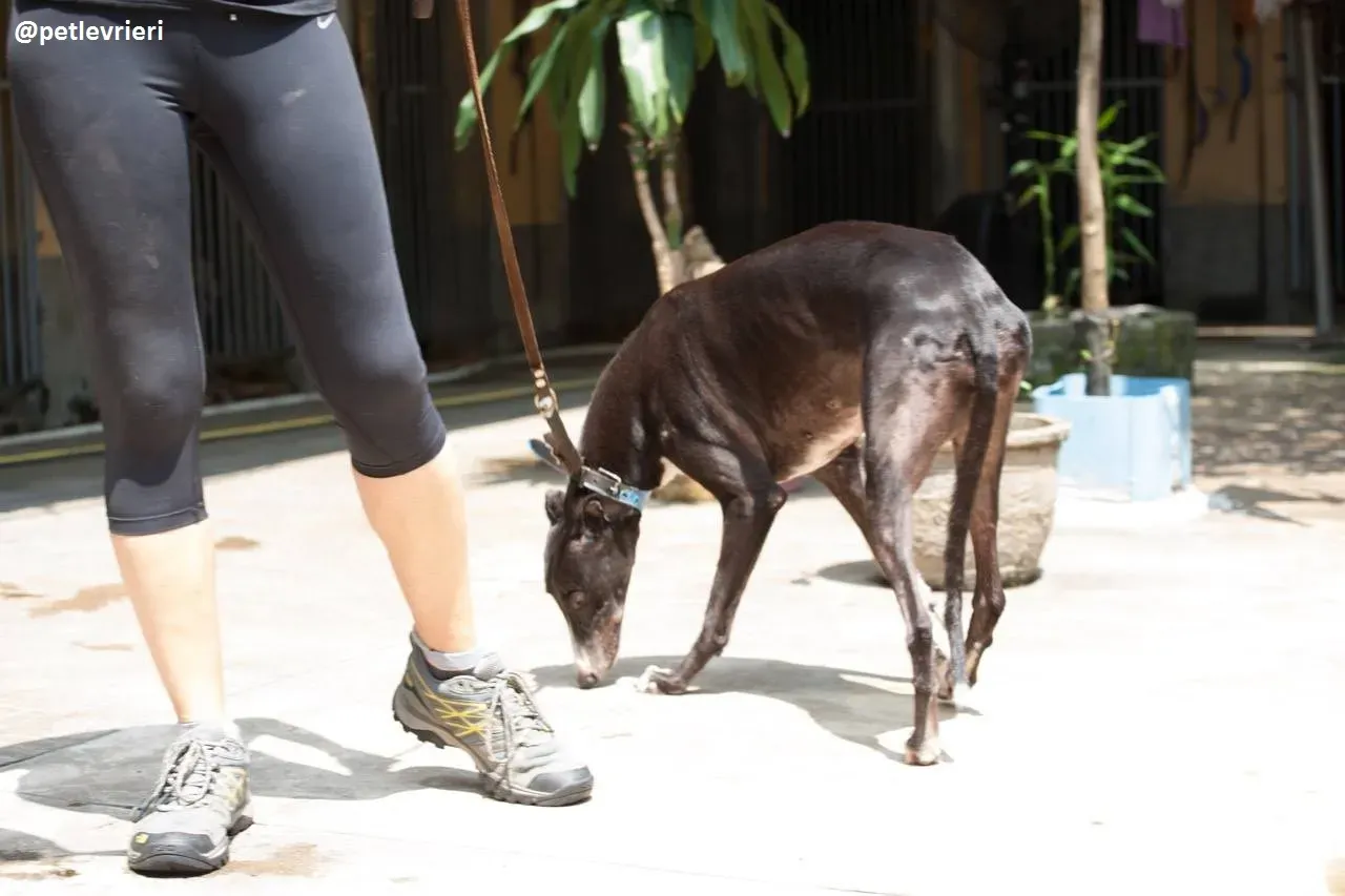 42321847 318615115354746 1193643249181392896 n