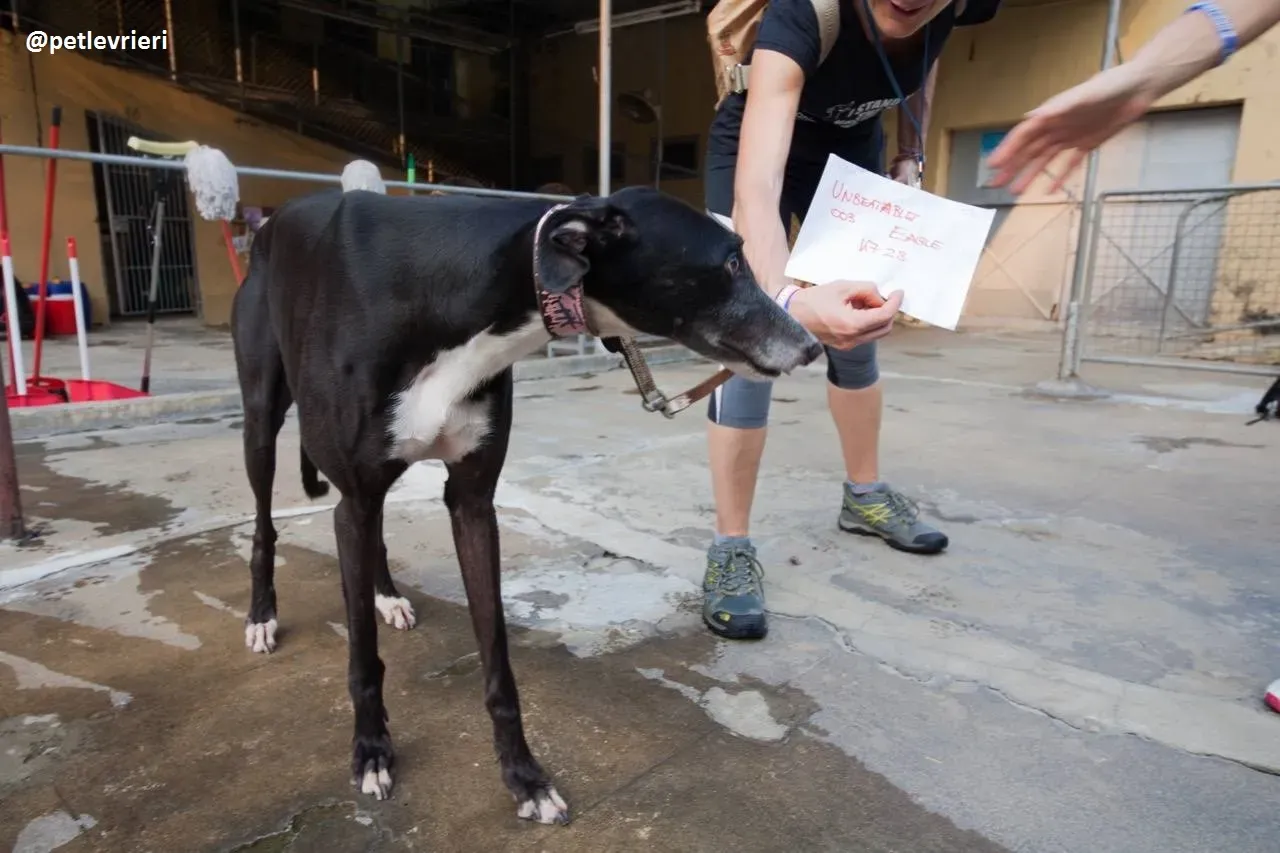 42321910 1521702864641551 6952591903695044608 n