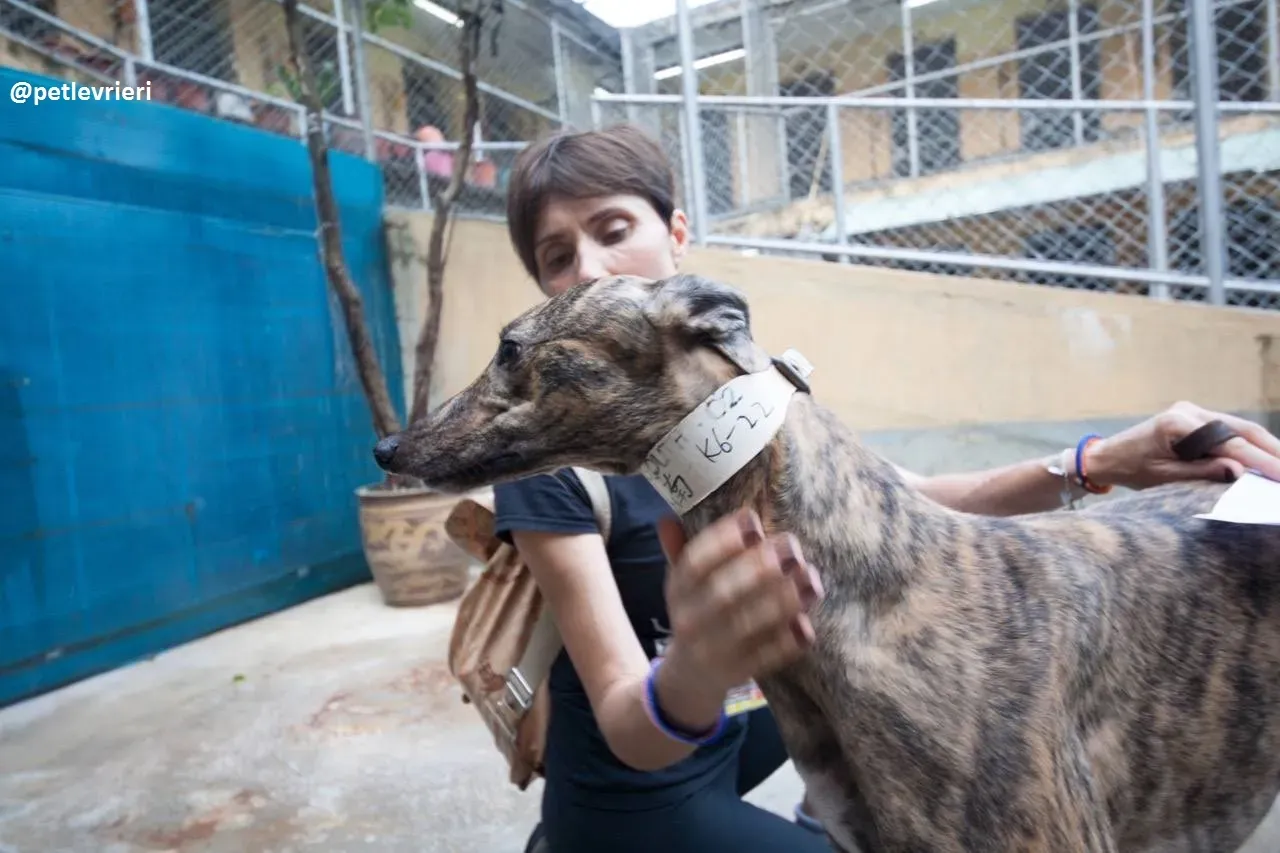 42321924 726295167751061 4976267508509048832 n