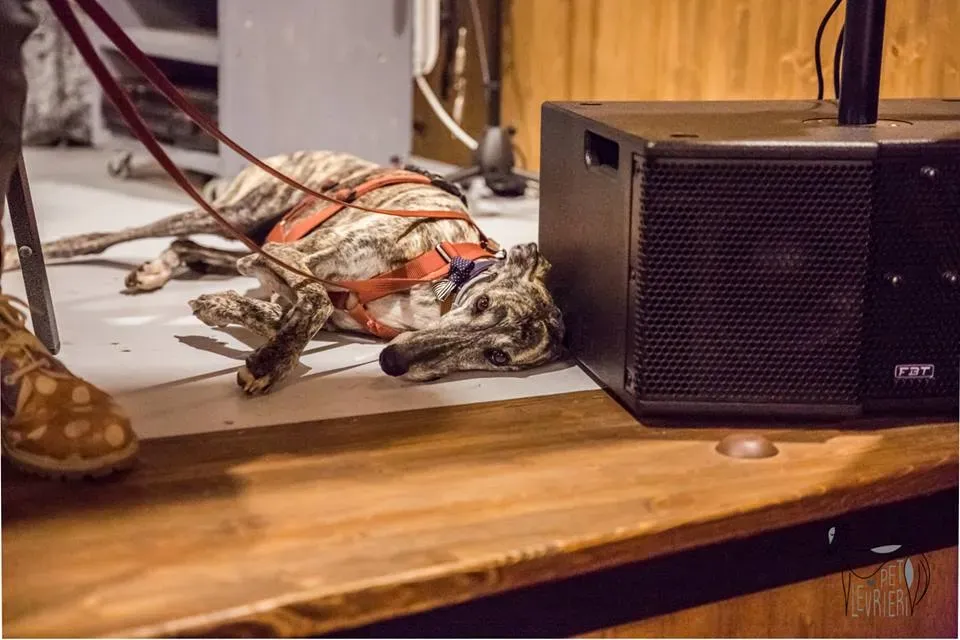 42322686 2092033460848644 2919031422729584640 n