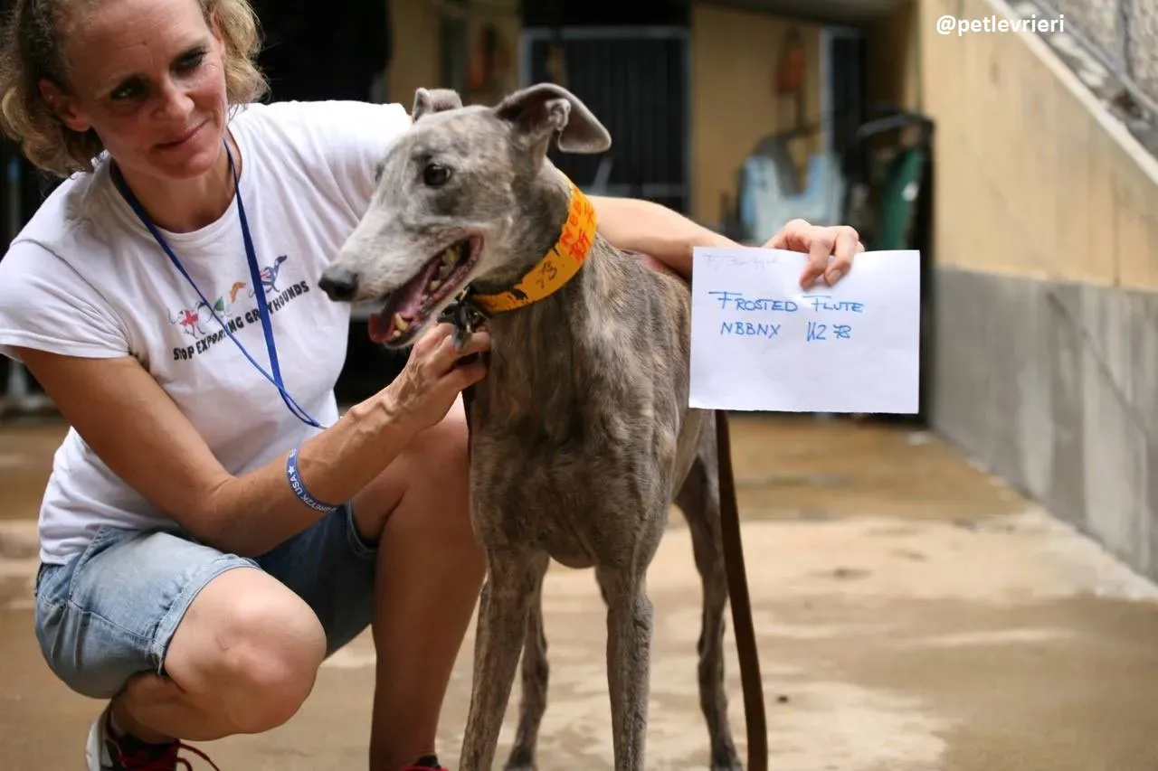 42324425 2122216934686733 4532813178874101760 n