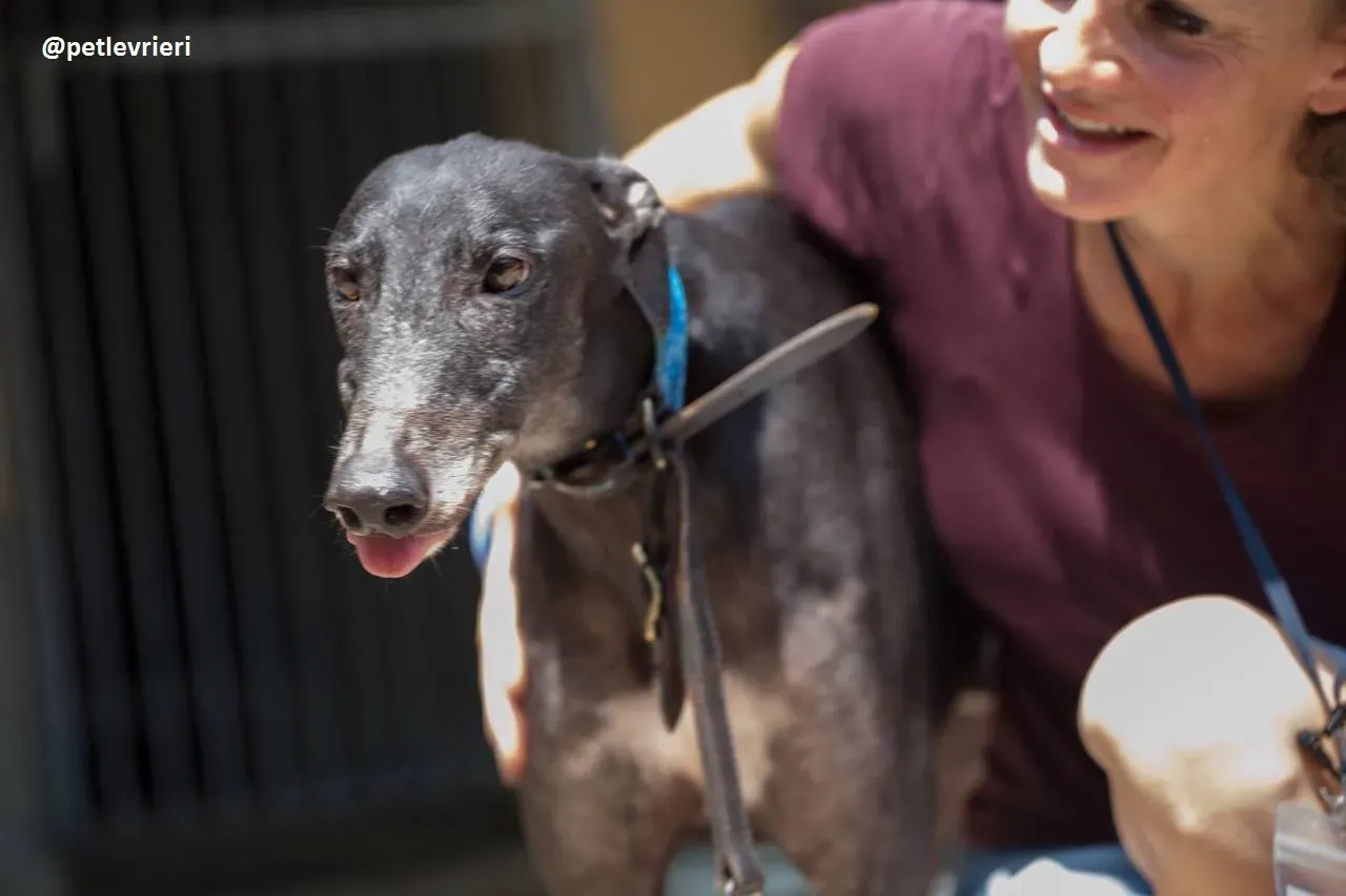 42324513 1786623671436169 6160175540004192256 n