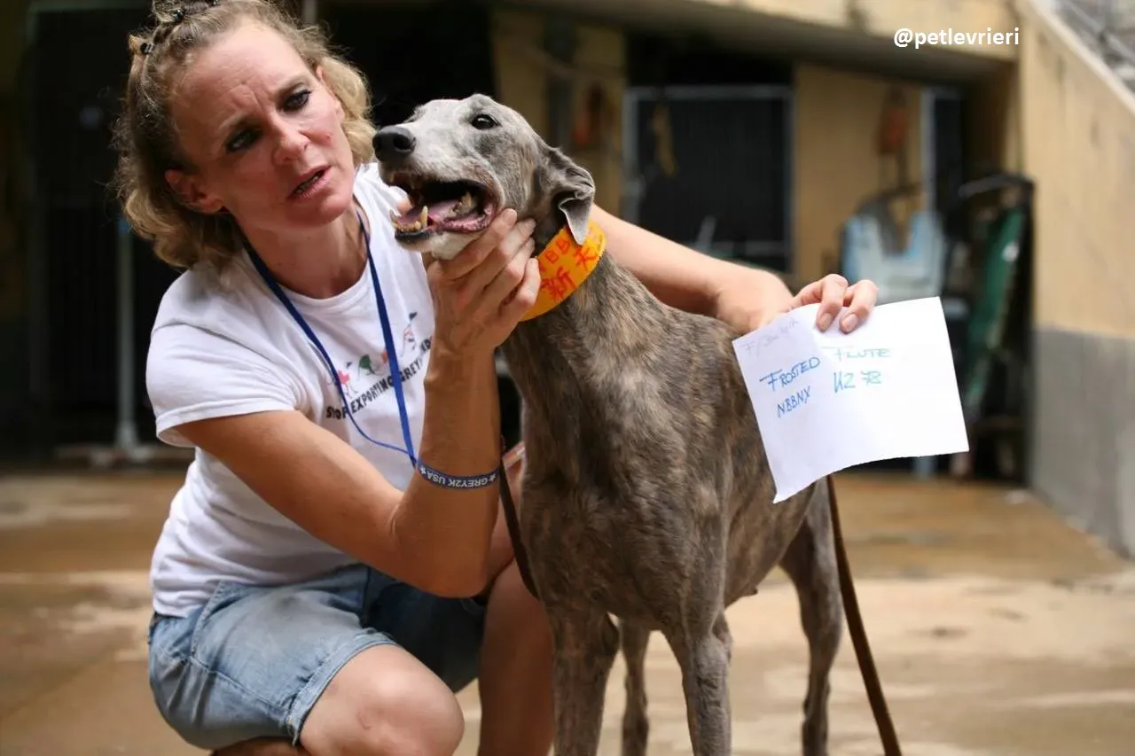 42327023 295731301150451 1646727775962267648 n