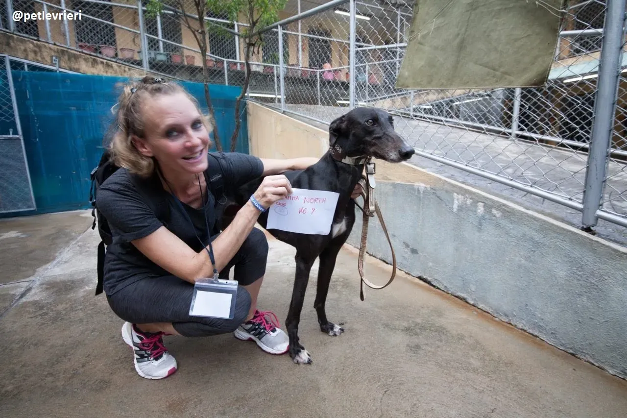 42327096 633099200419448 4997377027955752960 n