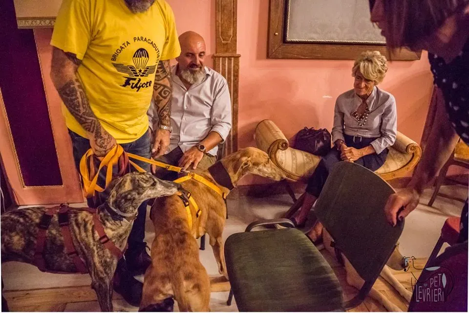 42327114 2092035310848459 1709209078988800000 n