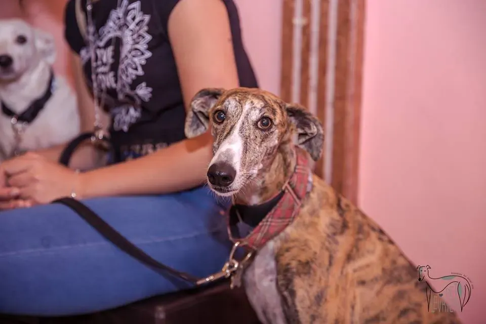 42328701 2092027044182619 4712323694947467264 n 1