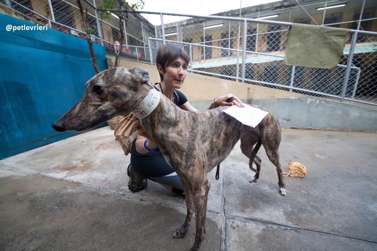 42328706 545387649233096 3413155577499484160 n