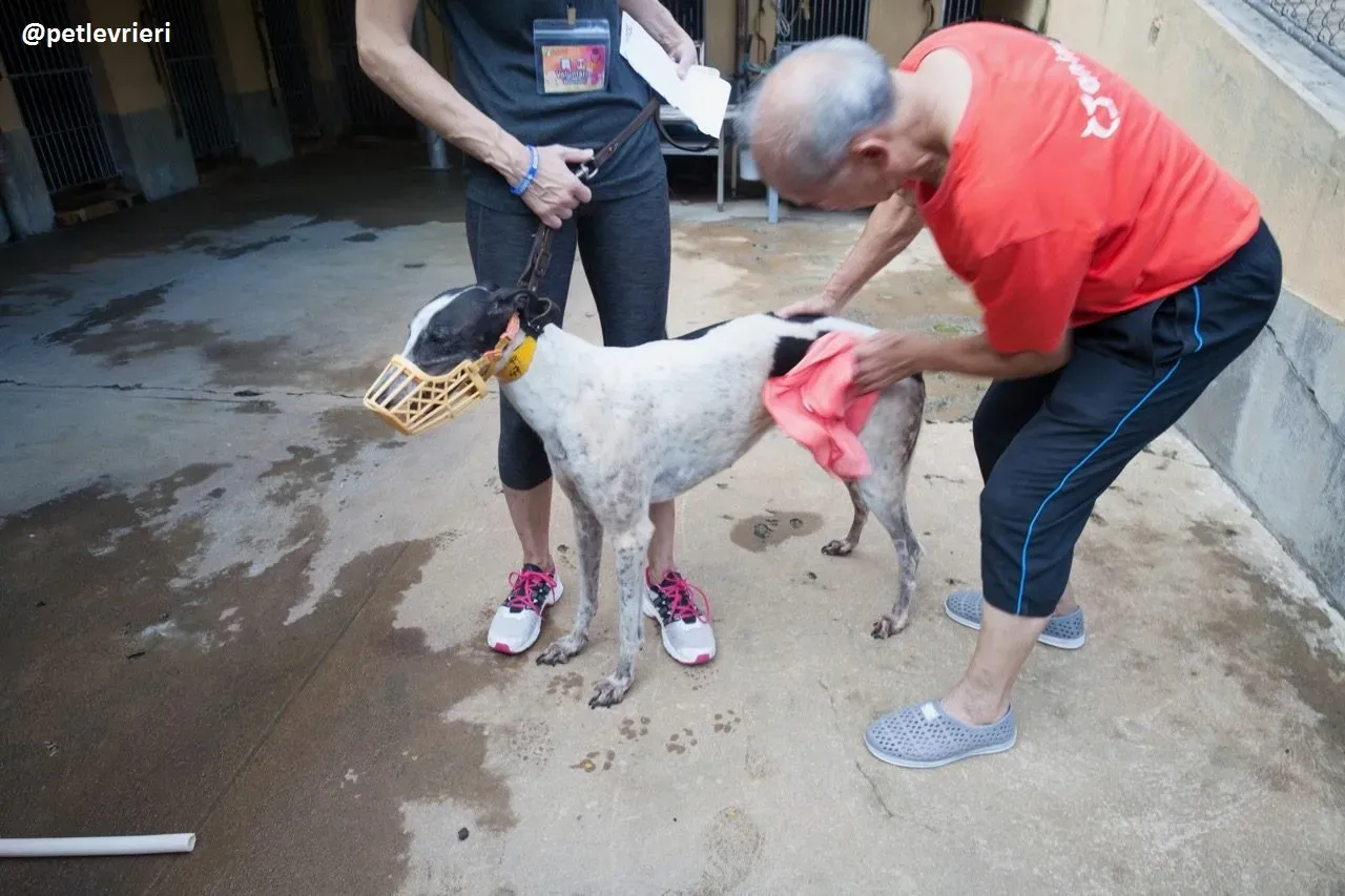 42330554 246800122648535 6447774062042152960 n