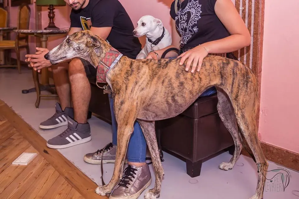 42330781 2092031607515496 5850689207495819264 n