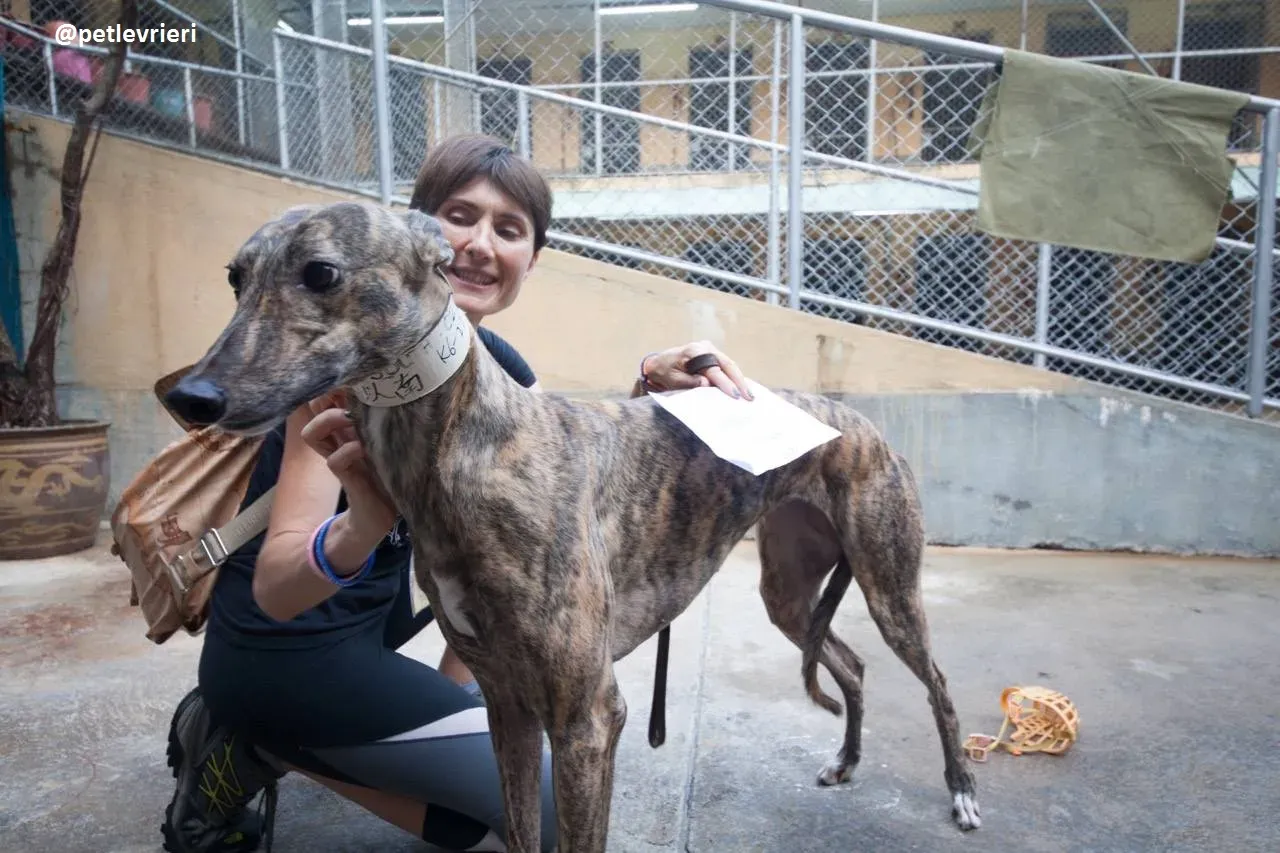 42330810 1115860071904981 5872513654313713664 n