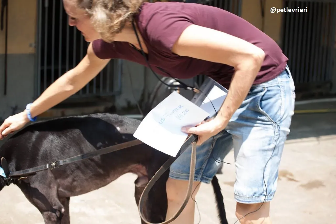 42331136 2213548558964671 1310468657440096256 n