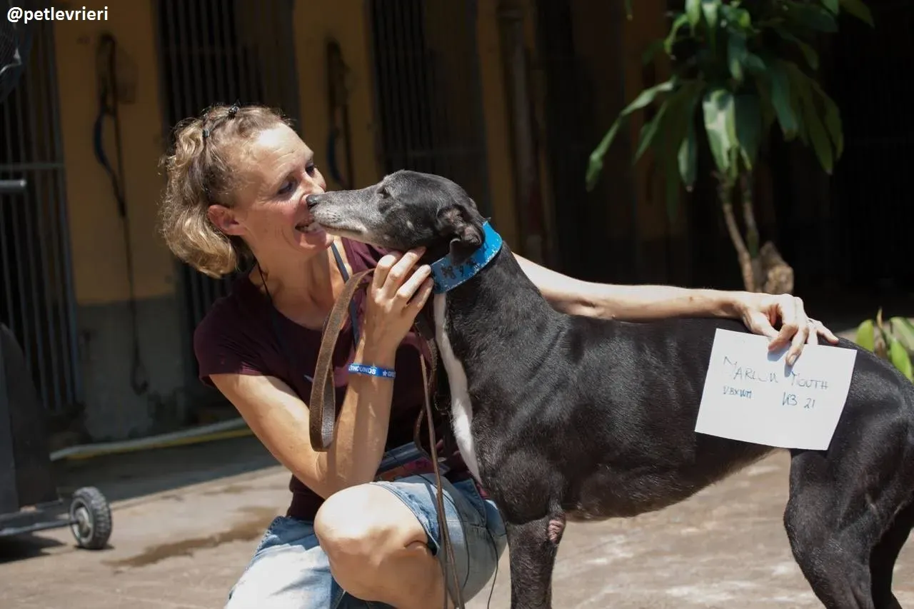 42331145 292909541534504 3227892785956782080 n