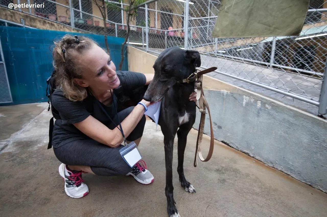 42334819 241258123198867 5500349442420637696 n