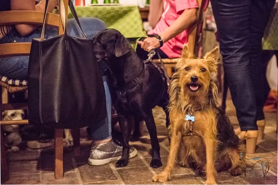 42342647 2092036704181653 2234938639664545792 n