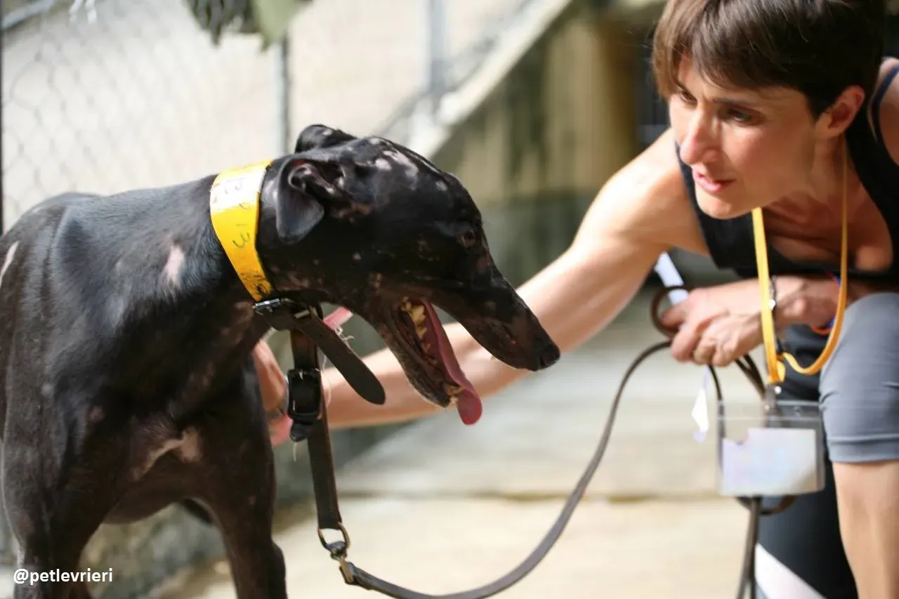 42344868 224259188447350 2933223794266865664 n