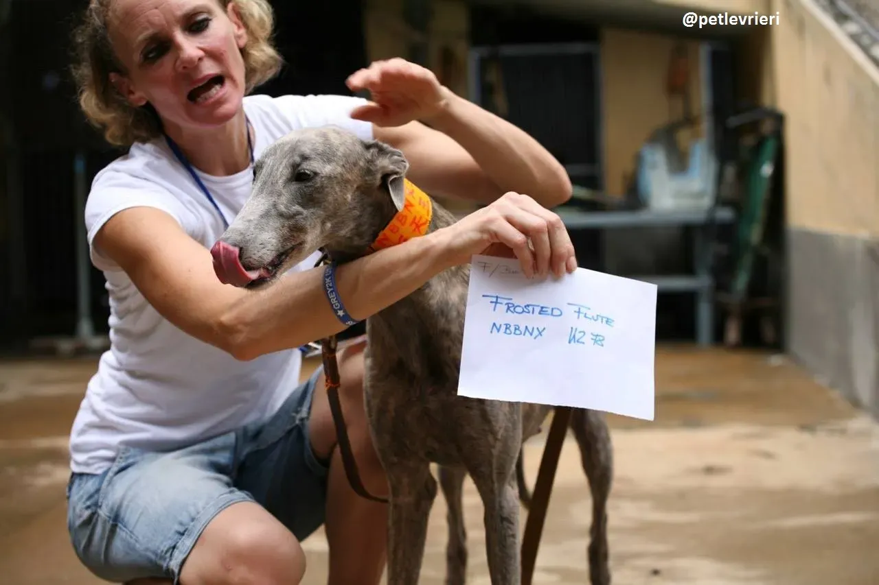 42345067 2325164360869874 3504734244574330880 n