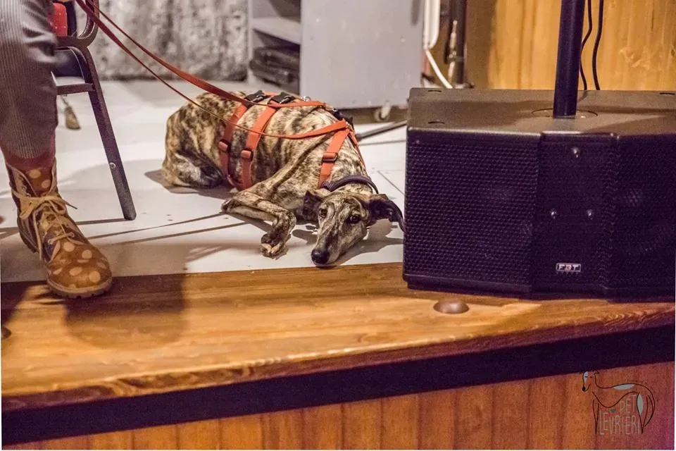 42346150 2092032684182055 5202172037975506944 n