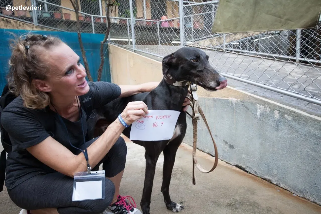 42347376 935220636678726 8125320624944971776 n