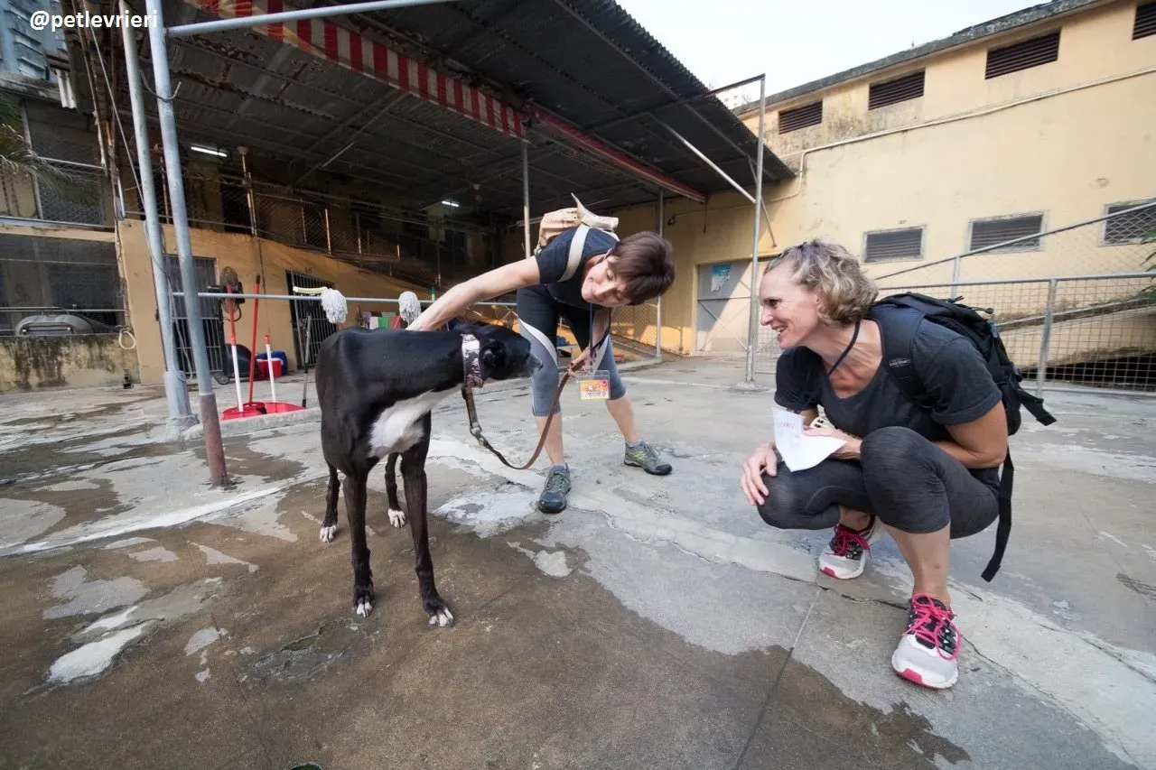 42348536 241832360015985 6053630320652058624 n