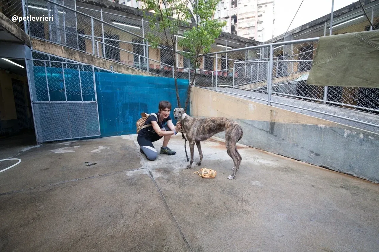 42349712 2501596513400319 9067533241623248896 n