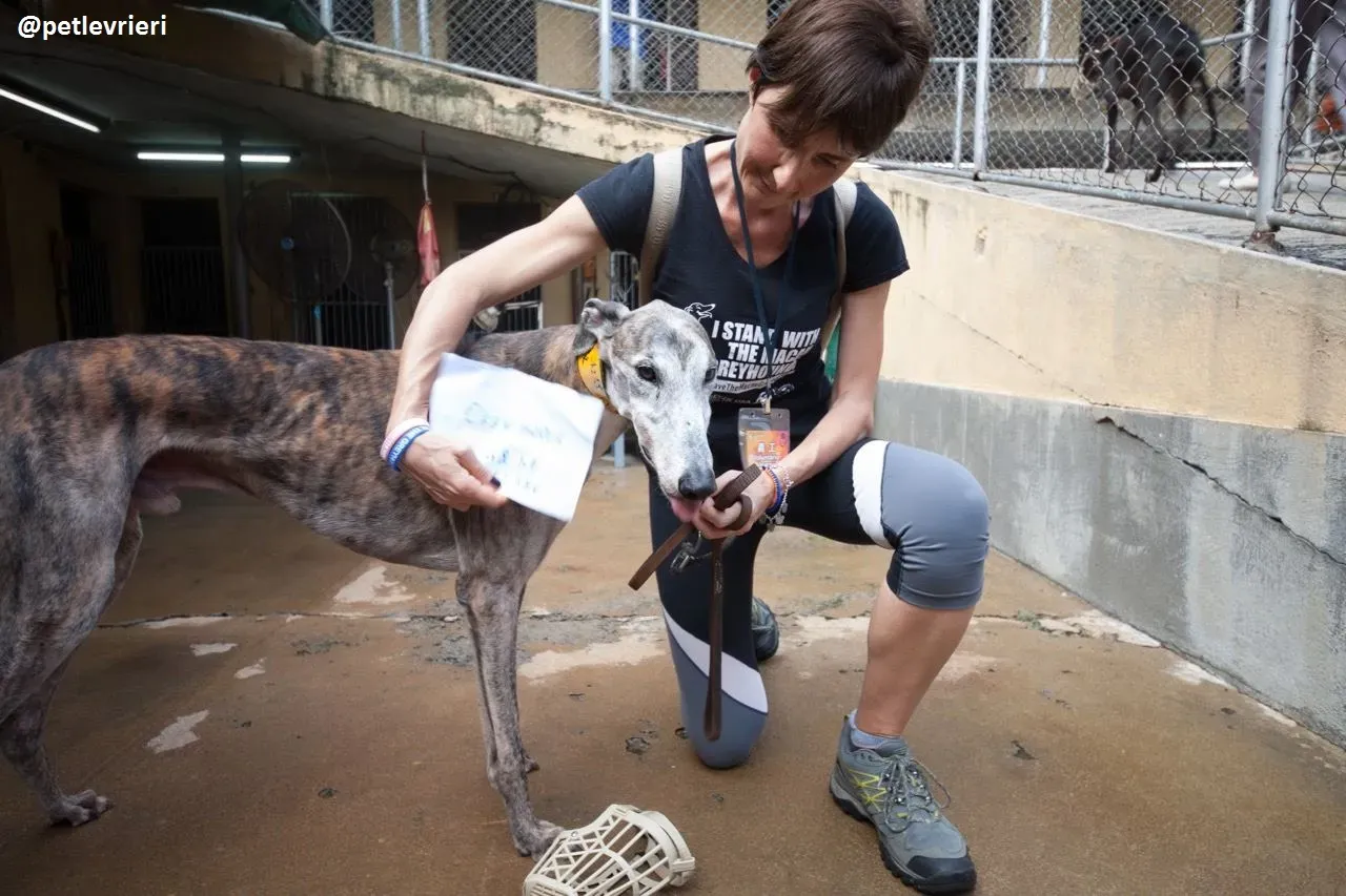 42352581 1886002881518757 874682248882814976 n