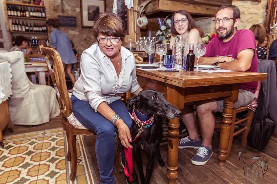 42352592 2092031900848800 2791235851953111040 n