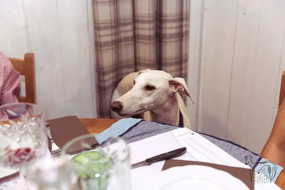 42354076 2092027330849257 6399283791075999744 n