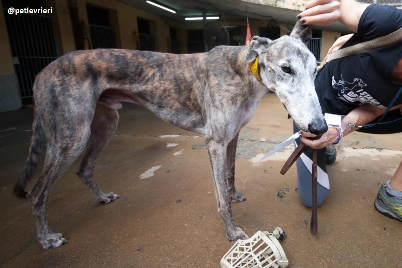 42357862 483990958749168 6351021569988362240 n