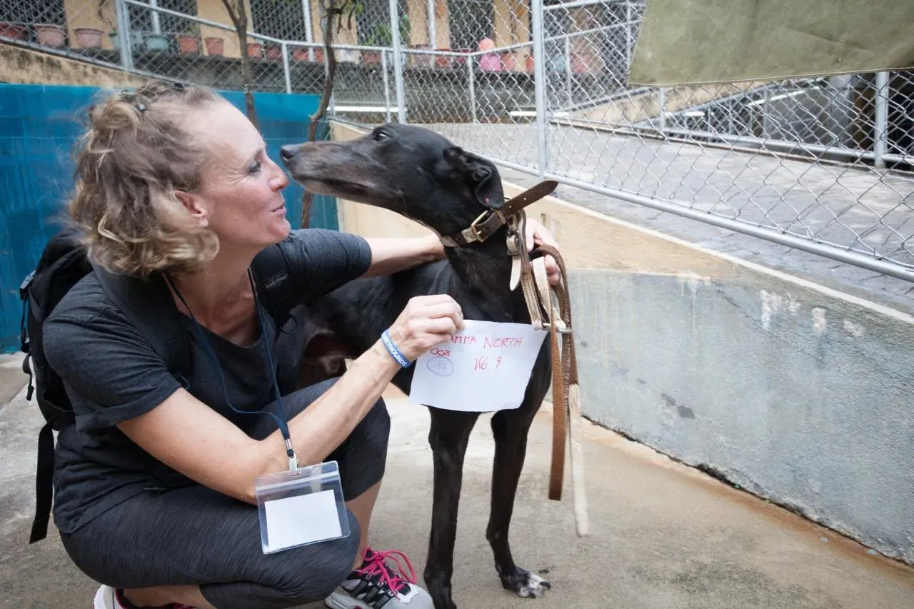 42359169 265301440763375 7060633816070619136 n