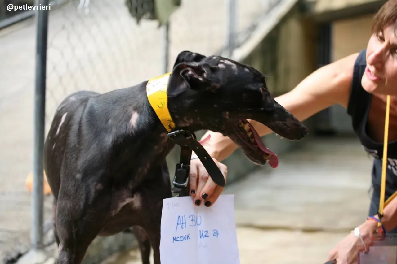 42362304 324113328356222 5970075064803000320 n