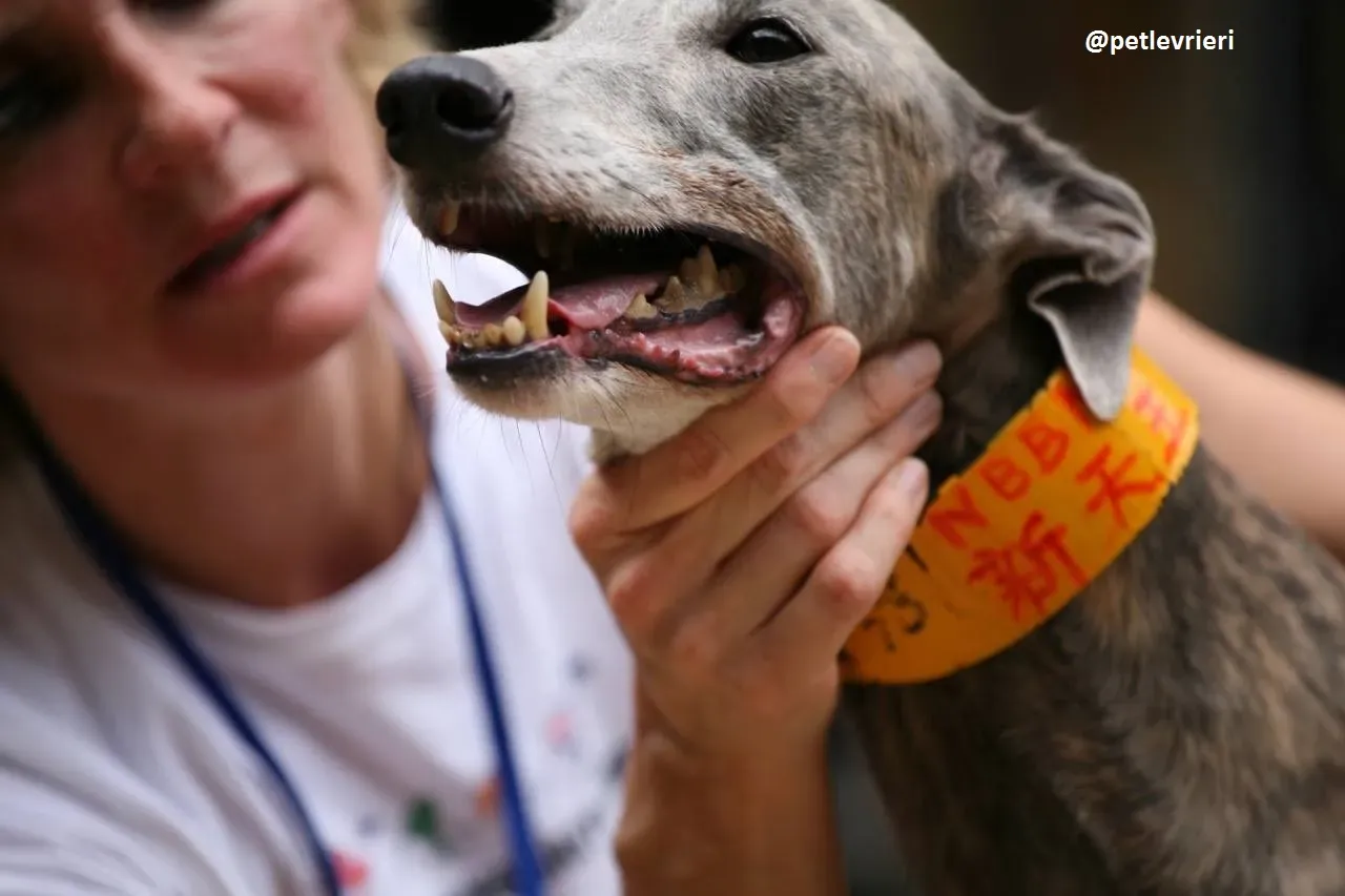 42366719 454700001691929 1037878456236376064 n