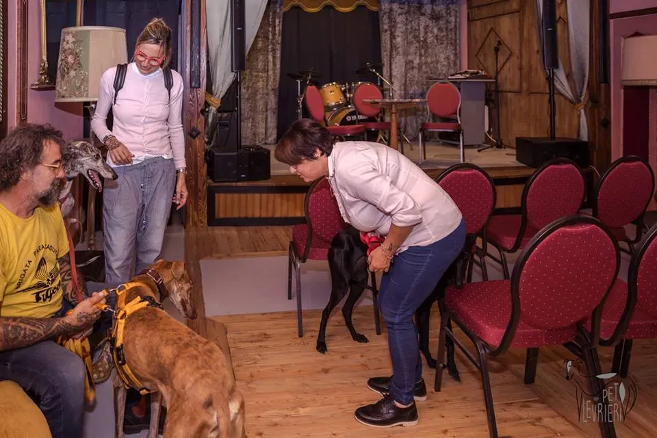 42366785 2092031530848837 4248486786260533248 n 1