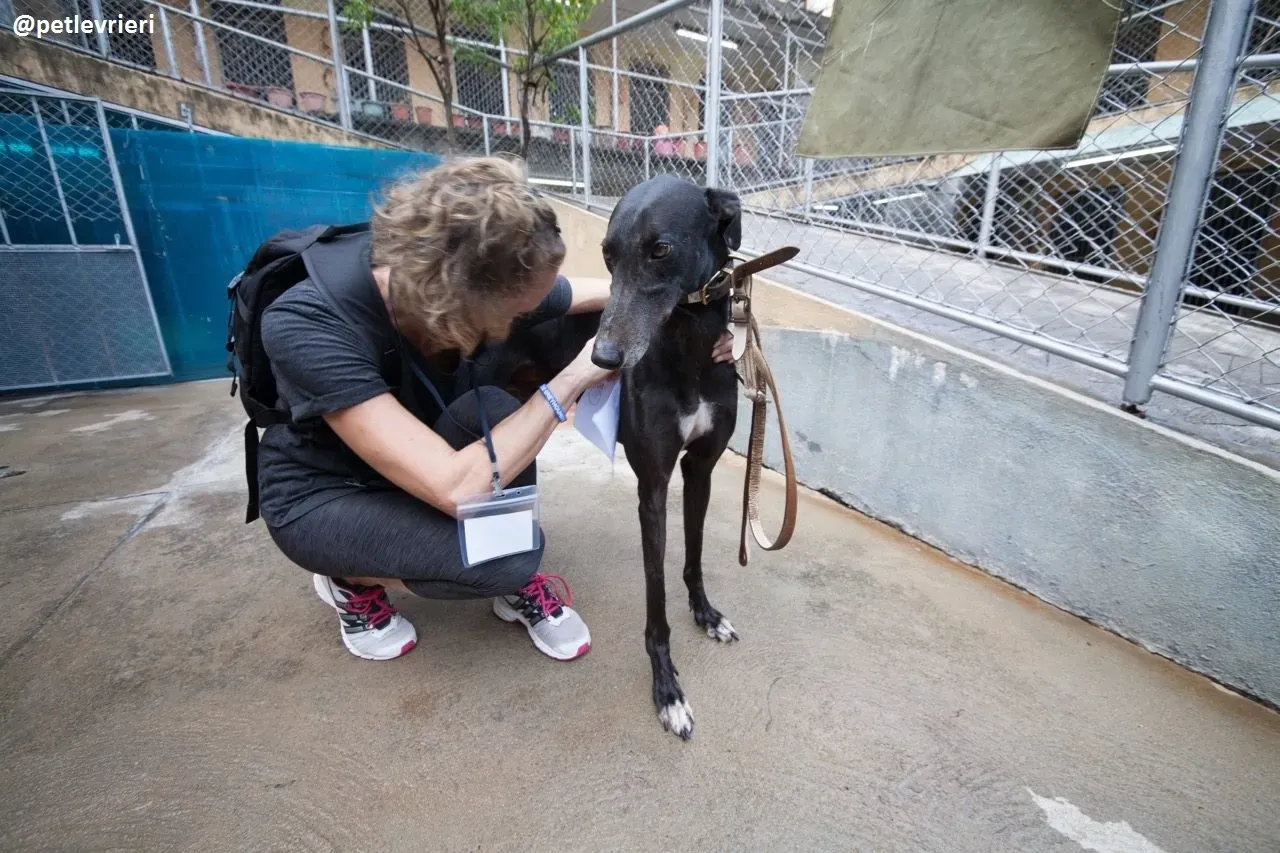 42367855 483836322110855 21201311487754240 n