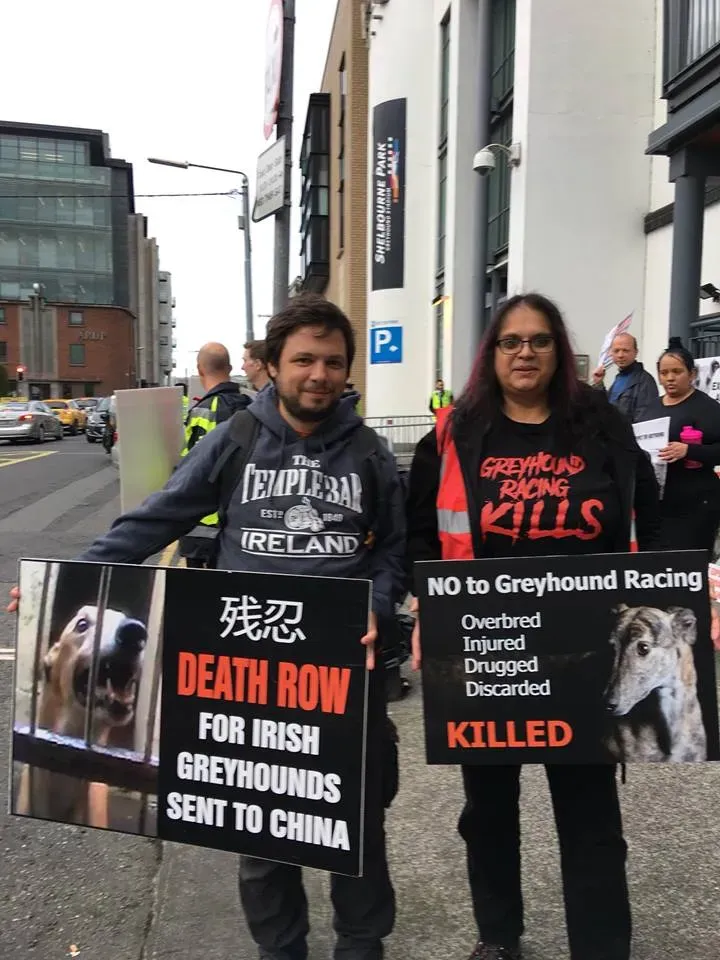 42370004 1862718803843669 3561195021359120384 n