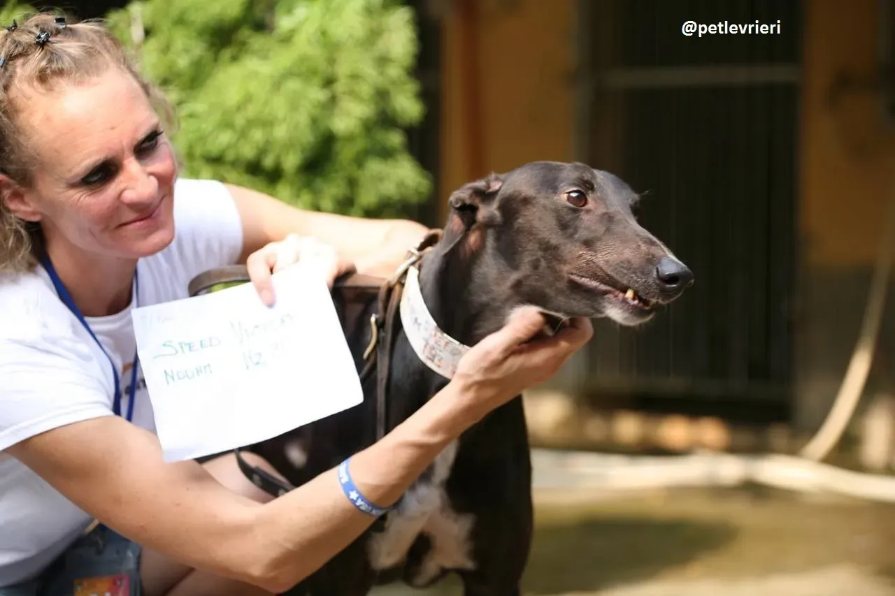 42374634 1925265244443234 9164266067021791232 n 1